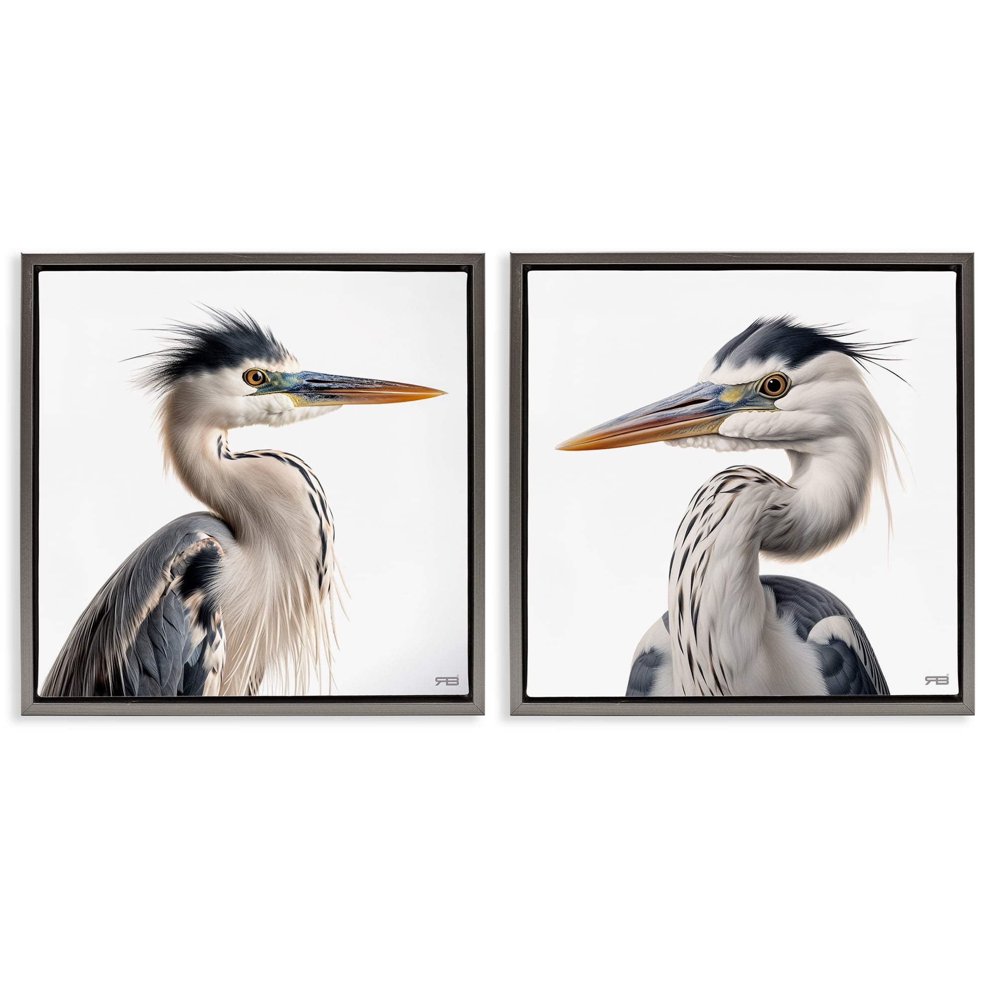 Stupell Industries Young Heron Birds Animals Painting Gray Floater Framed Canvas Art Print Wall Art, 18 x 18, Set of 2