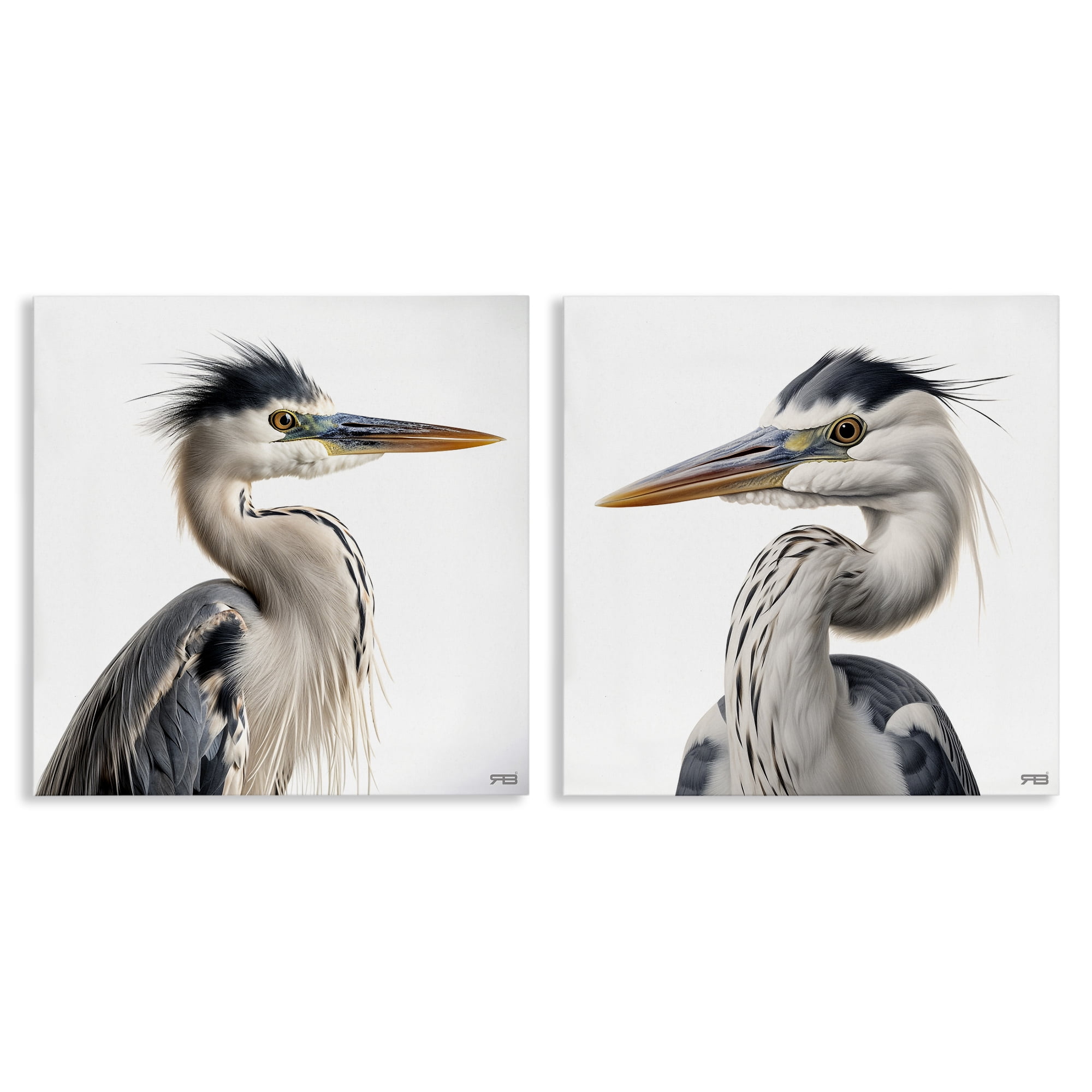 Stupell Industries Young Heron Birds Animals Painting Wrapped Canvas Art Print Wall Art, 24 x 24, Set of 2