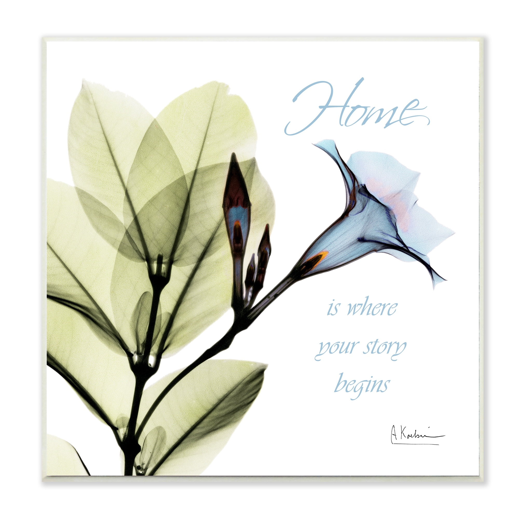 Stupell Industries Your Story Begins Phrase Blue Floral Silhouette Wall Plaque by Albert Koetsier