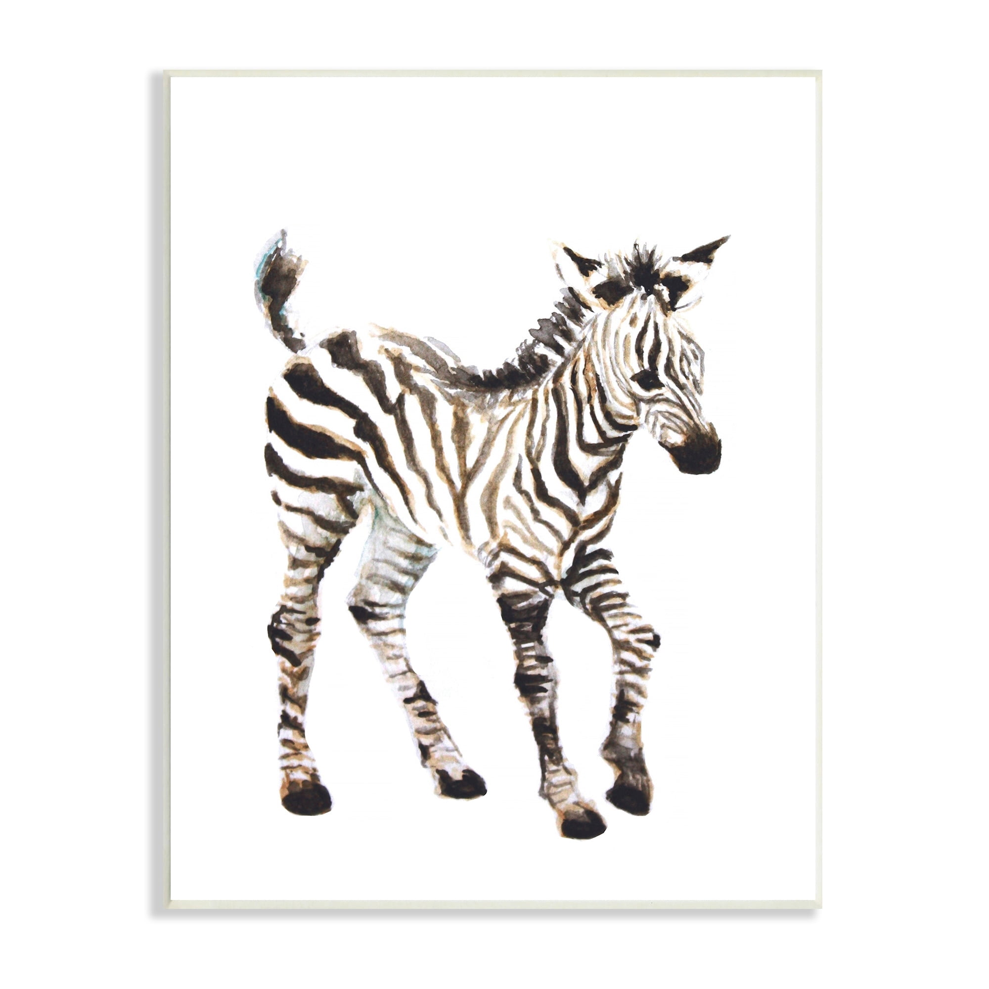 Stupell Industries Zebra Baby Watercolor Painting Safari Animal Children's Nursery, 10 x 15,Design by Fox Hollow Studios