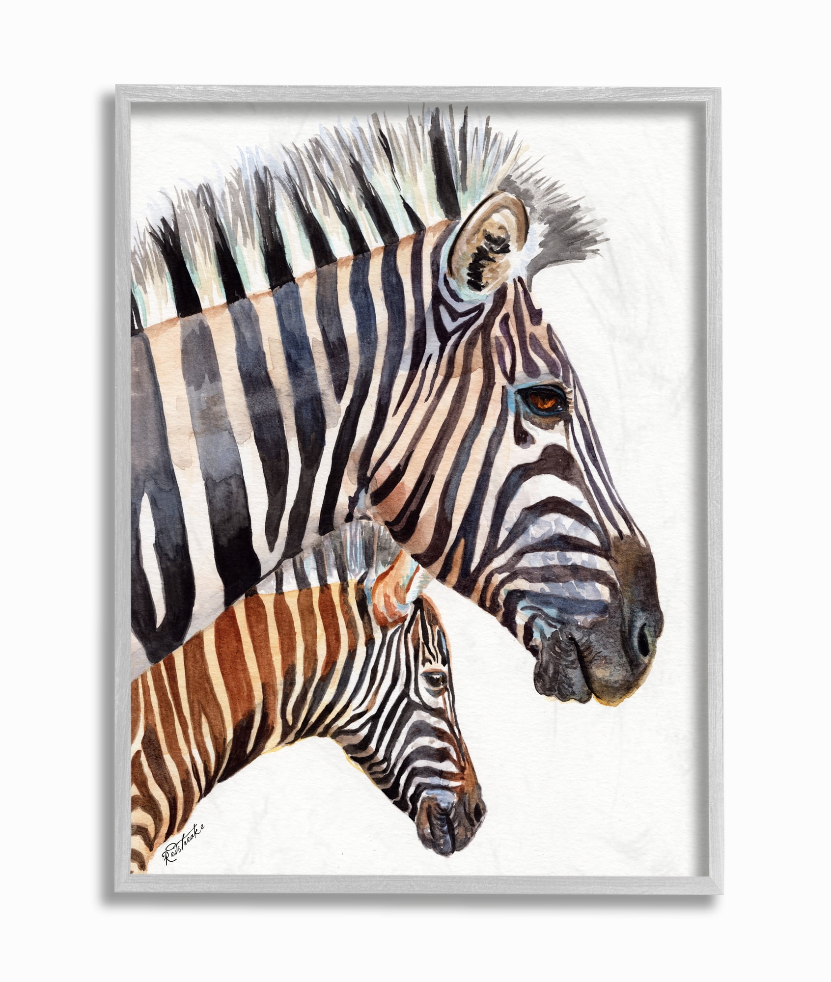 Stupell Industries Zebra Family Portrait Black Brown Animal Watercolor Painting Framed Wall Art by Jennifer Redstreake