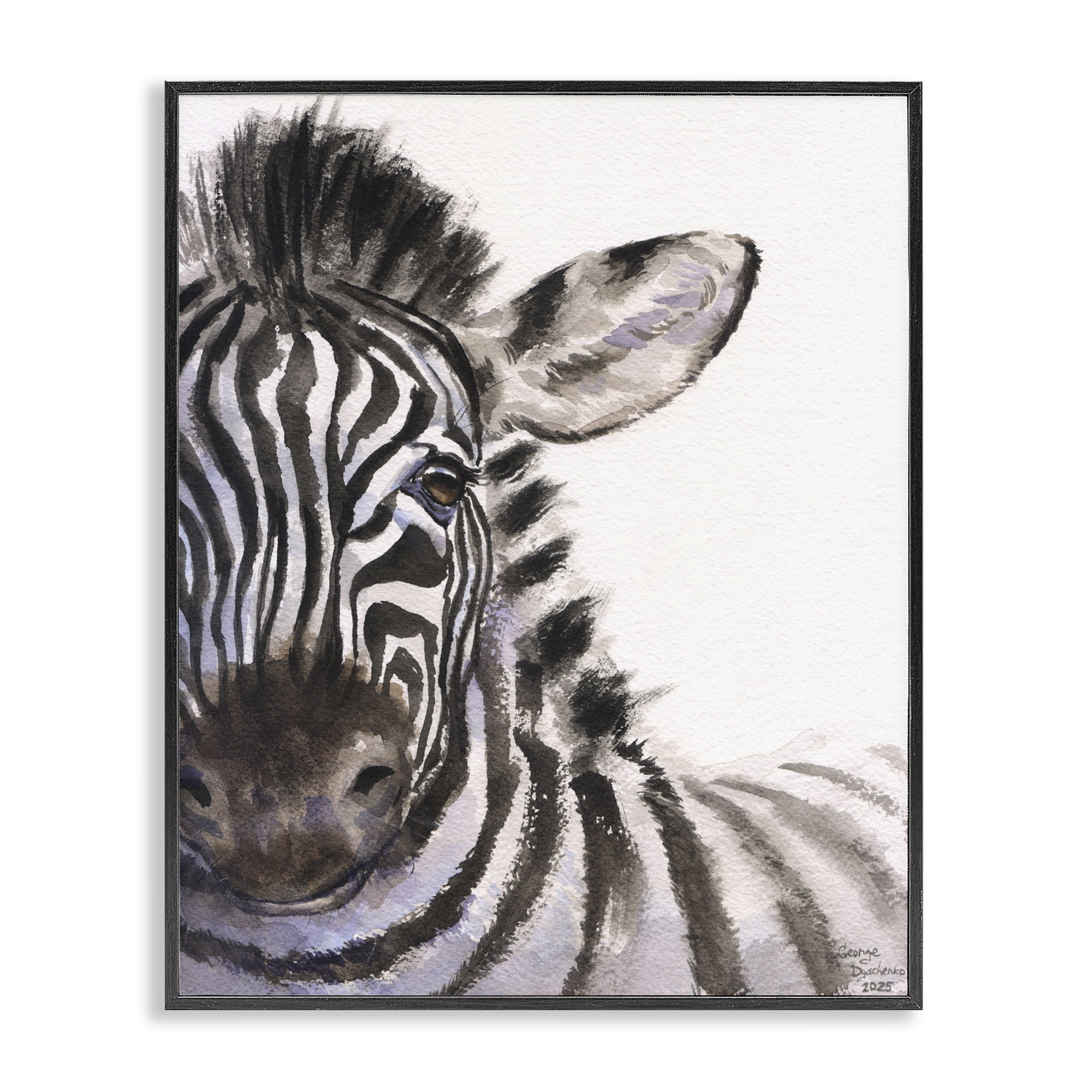 Stupell Industries Zebra Portrait on White Black Framed Giclee Art, design by George Dyachenko
