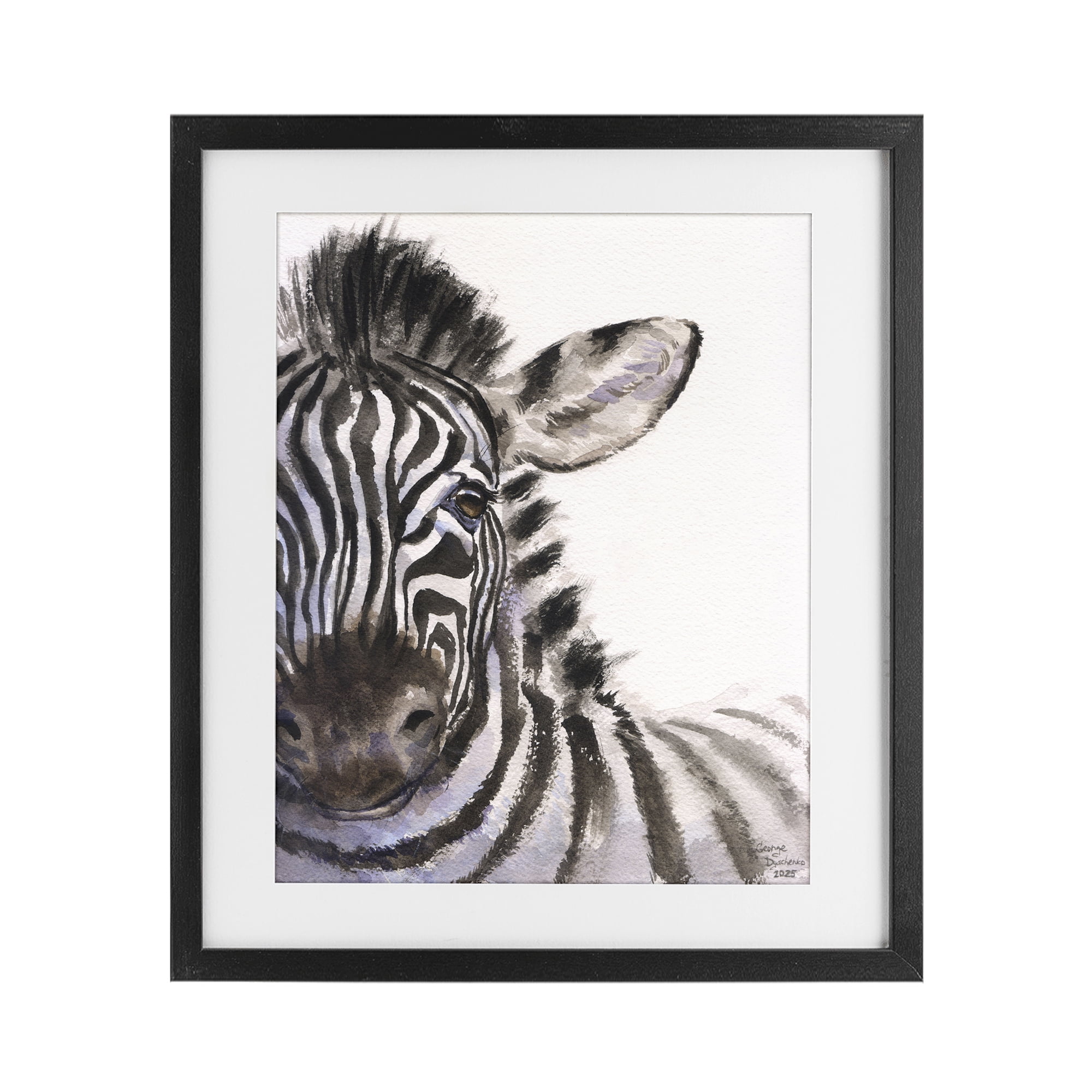Stupell Industries Zebra Portrait on White Black Framed Print Under Glass, design by George Dyachenko
