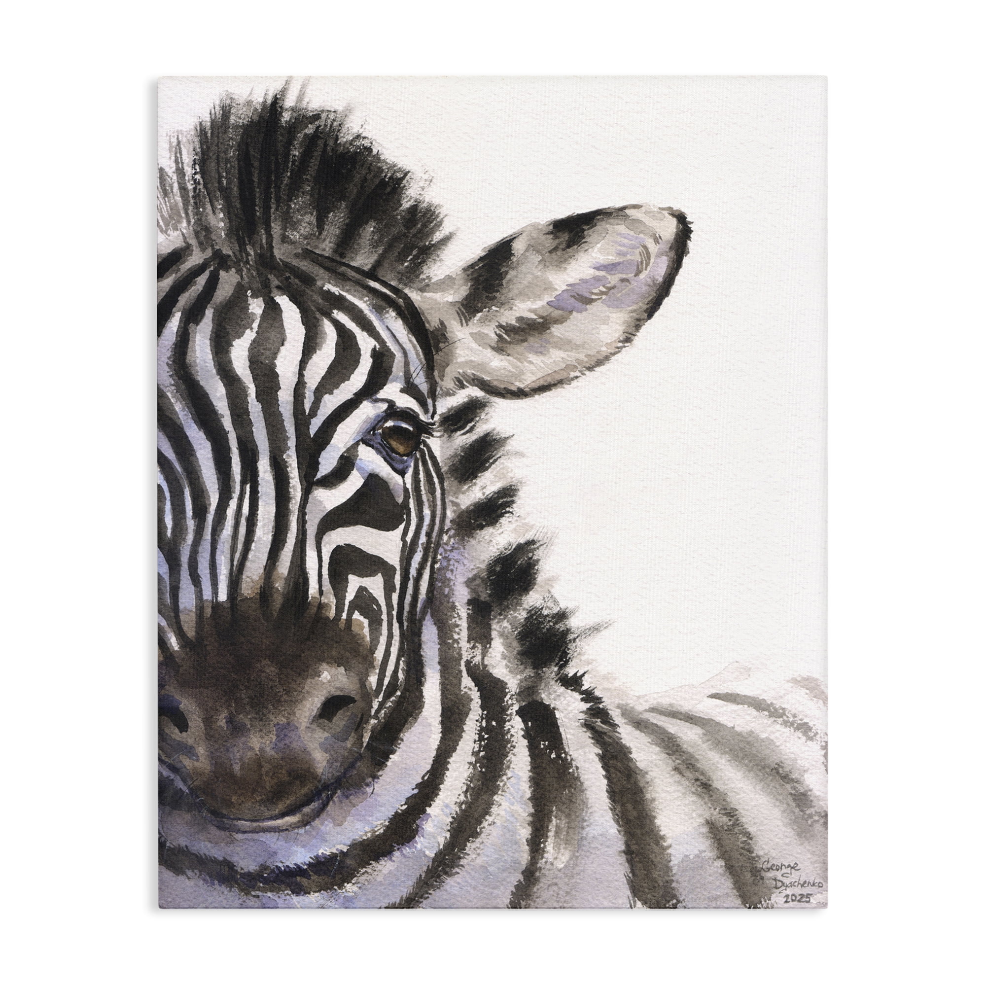 Stupell Industries Zebra Portrait on White Canvas Wall Art, design by George Dyachenko