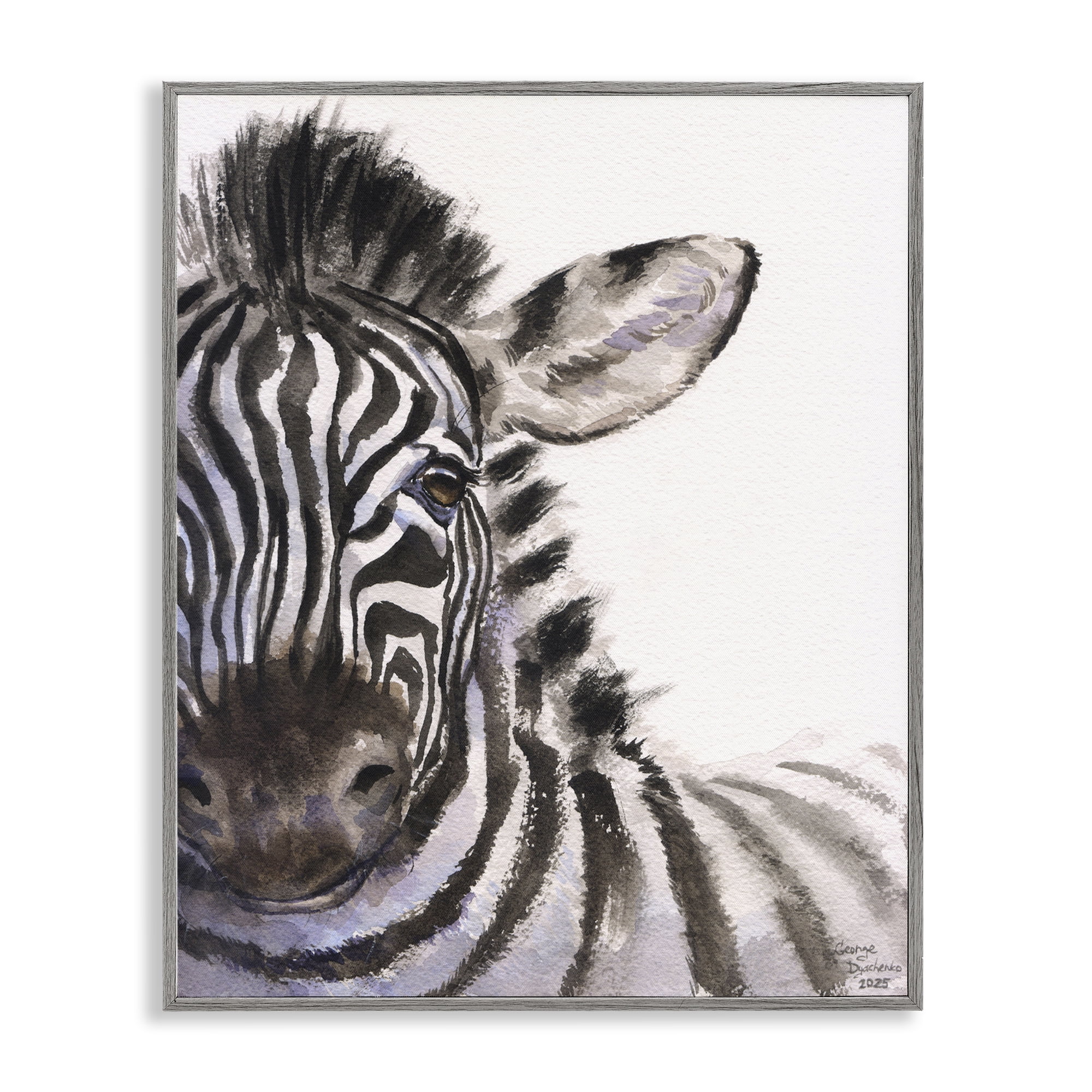 Stupell Industries Zebra Portrait on White Gray Framed Giclee Art, design by George Dyachenko
