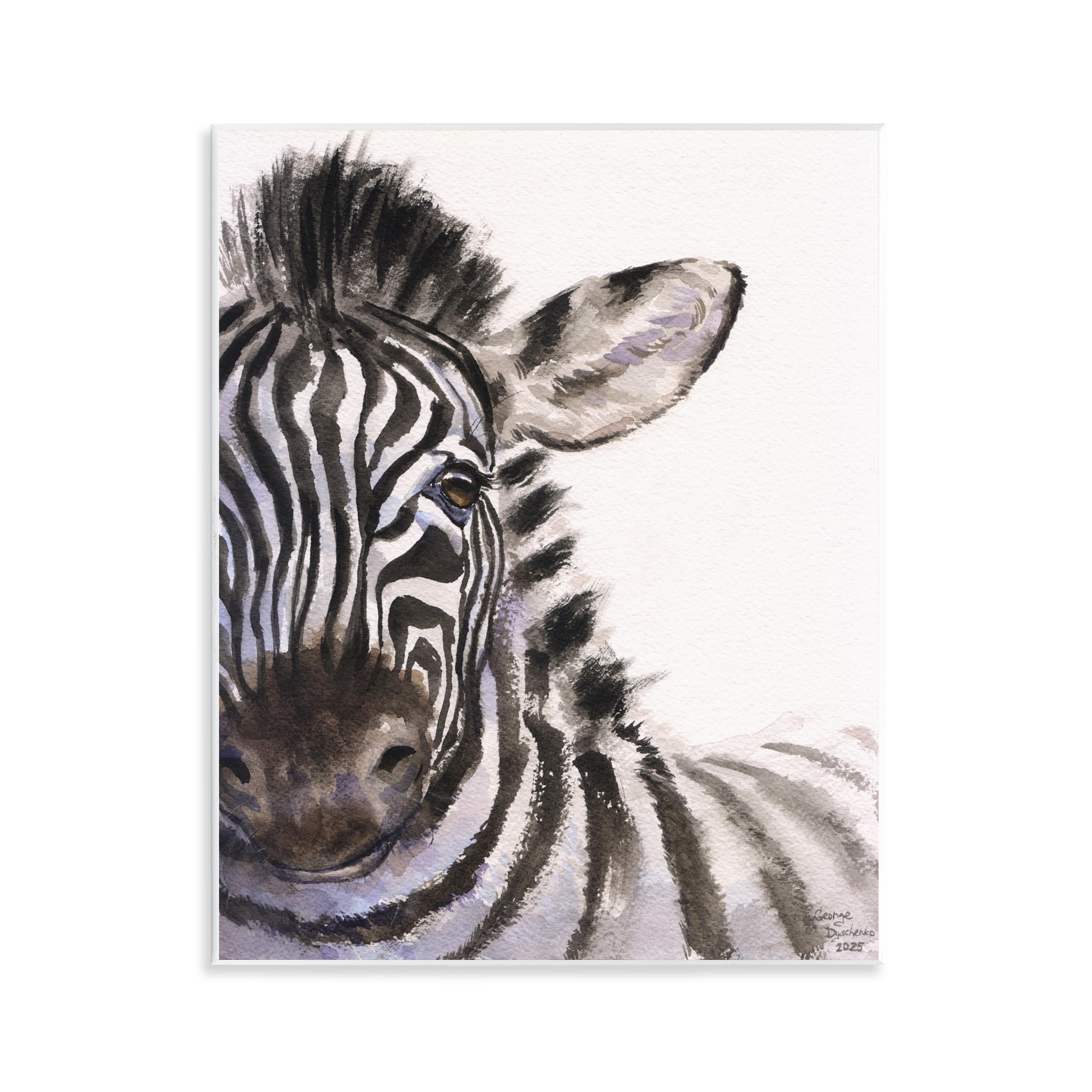 Stupell Industries Zebra Portrait on White Wall Plaque Art, design by George Dyachenko