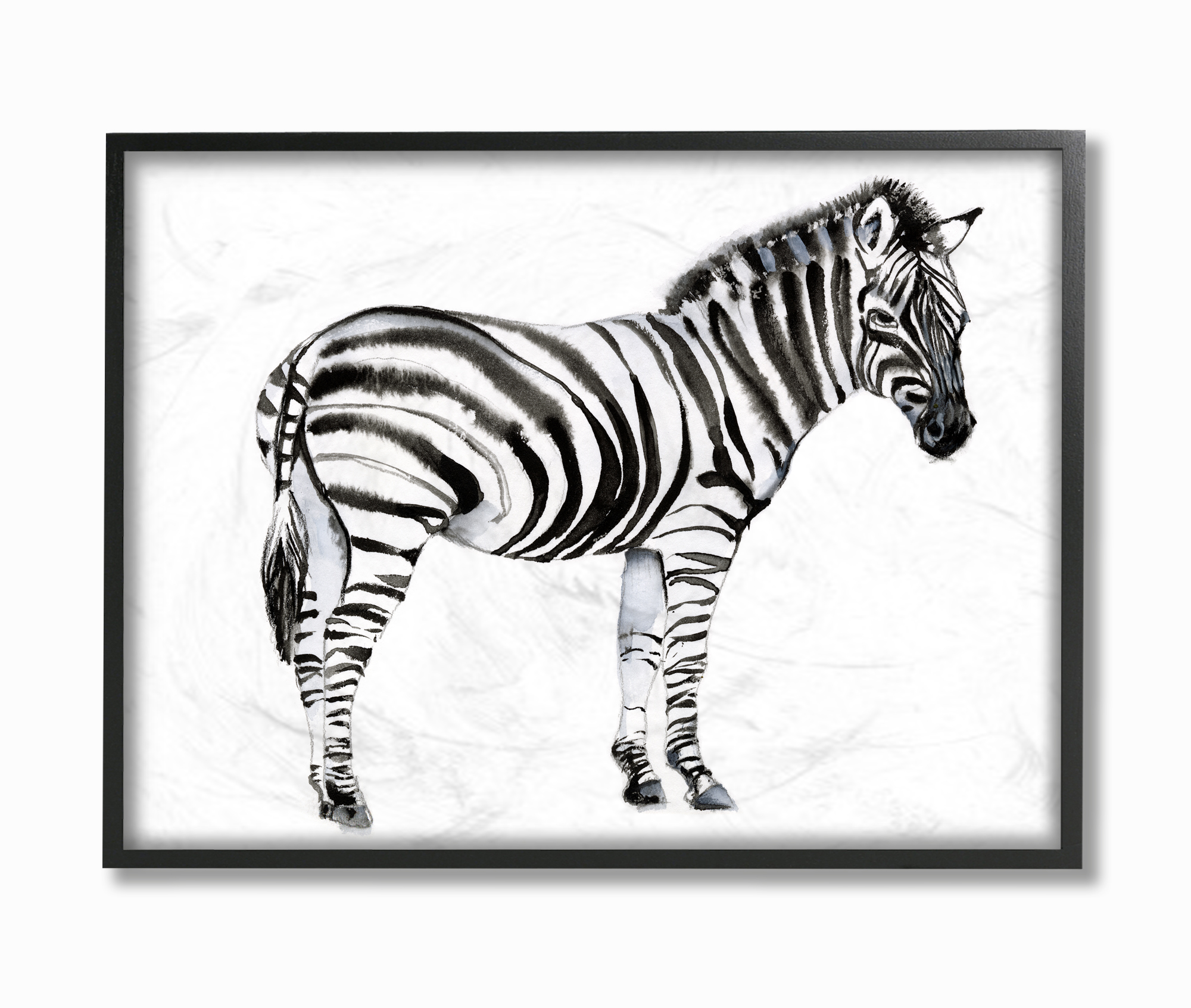 Stupell Industries Zebra Standing Black And White Animal Watercolor Painting Framed Wall Art by Jennifer Goldberger