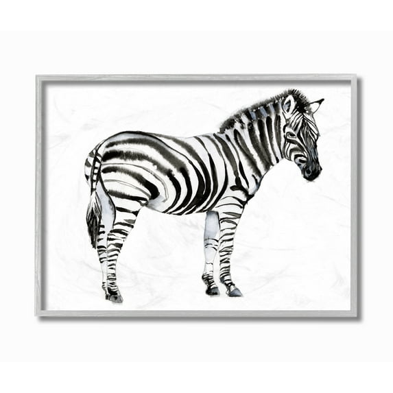 Stupell Industries Zebra Standing Black And White Animal Watercolor Painting Gray Framed Wall Art, 11 x 14, byJennifer Goldberger