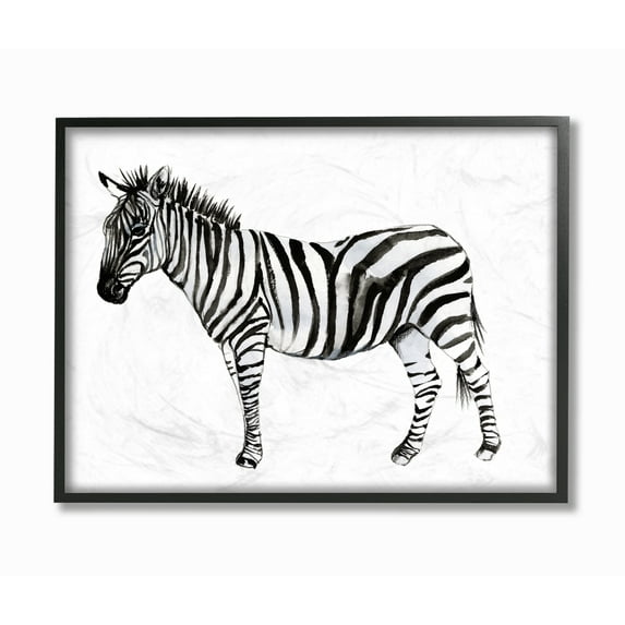 Stupell Industries Zebra Standing Black And White Watercolor Animal Painting Framed Wall Art by Jennifer Goldberger, 24" x 30", Black Framed