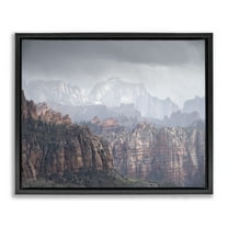Stupell Industries Zion National Park Landscape Photography Black Floater Framed Art Print Wall Art, 21 x 17