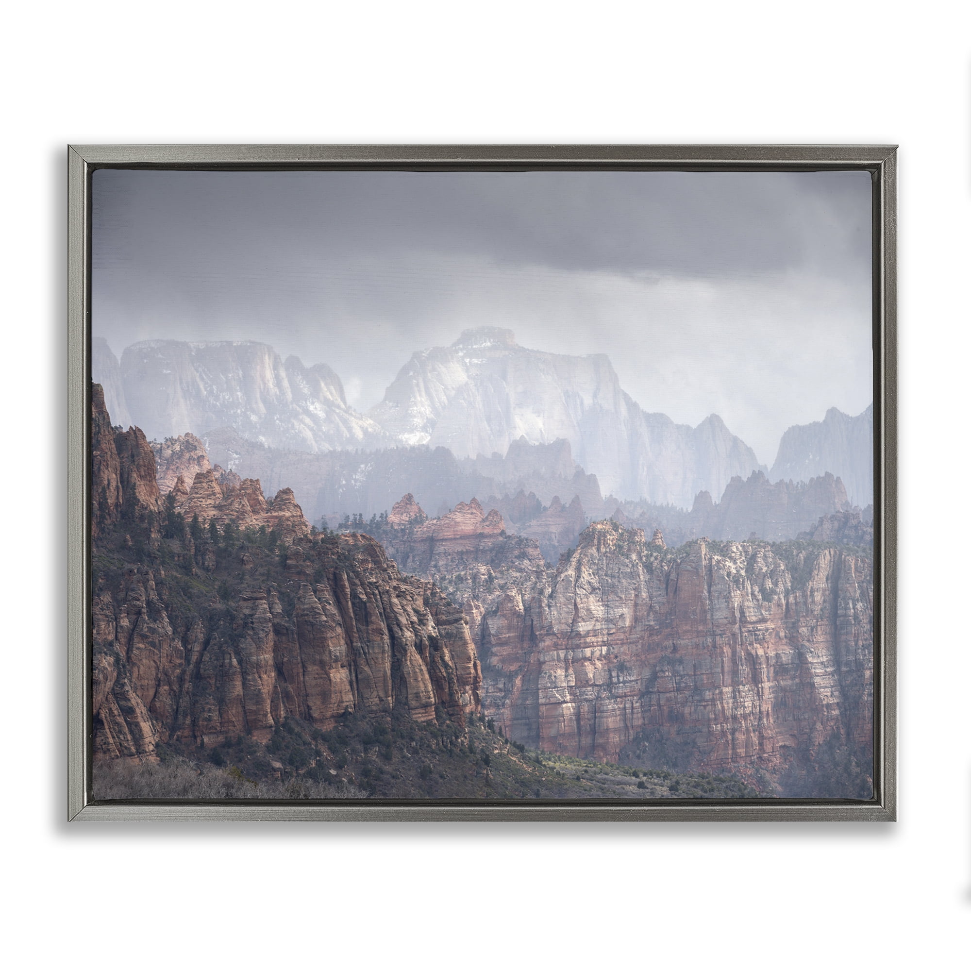 Stupell Industries Zion National Park Landscape Photography Gray Floater Framed Art Print Wall Art, 21 x 17