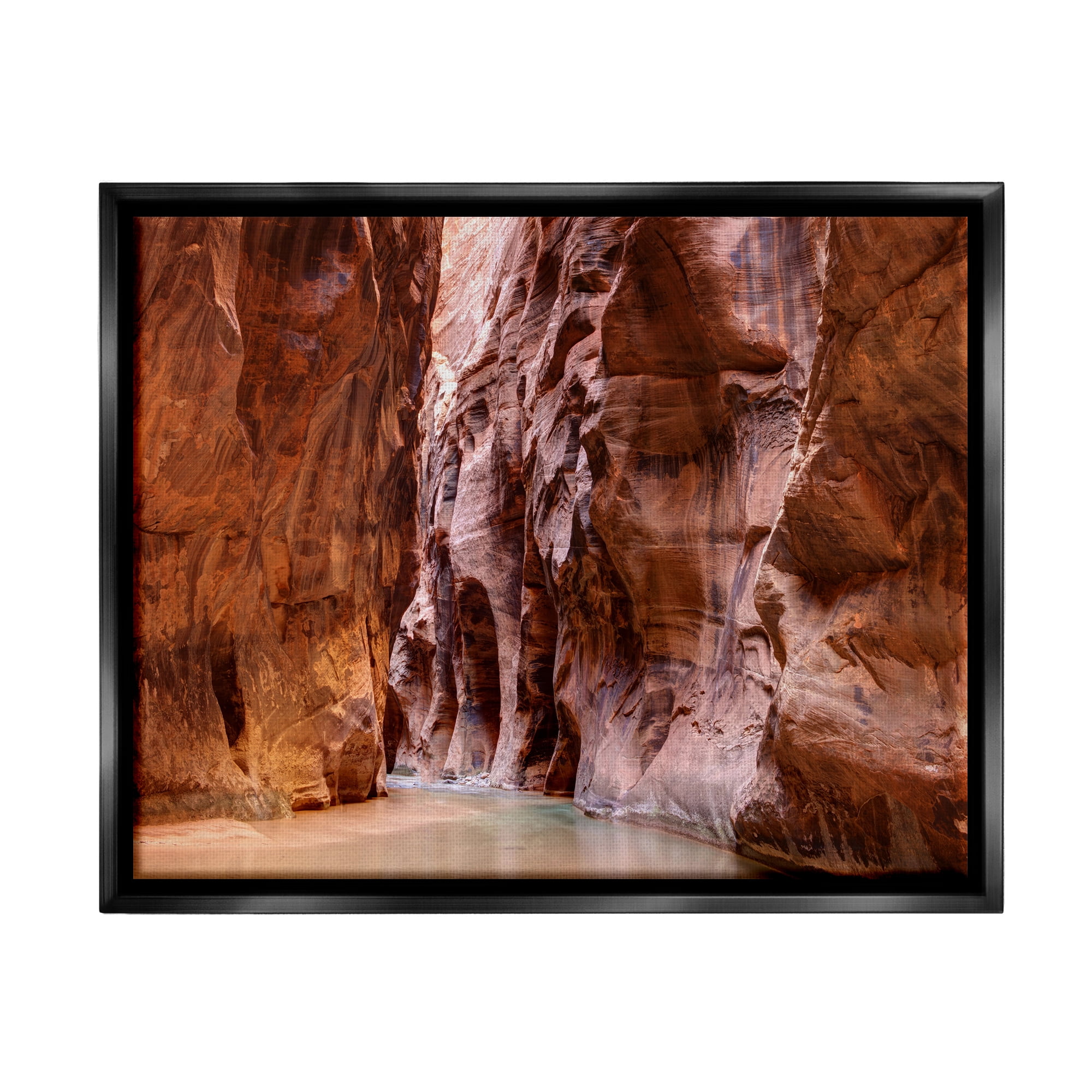 Stupell Industries Zion Park Landscape Nature Photography Black Floater Framed Art Print Wall Art, 31 x 25