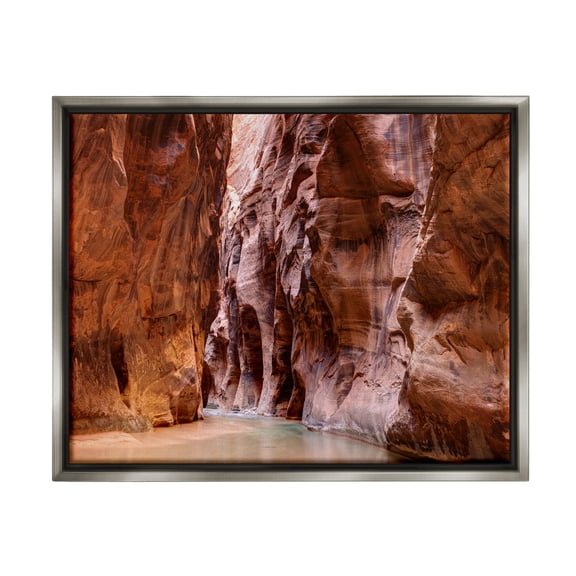 Stupell Industries Zion Park Landscape Nature Photography Gray Floater Framed Art Print Wall Art, 21 x 17