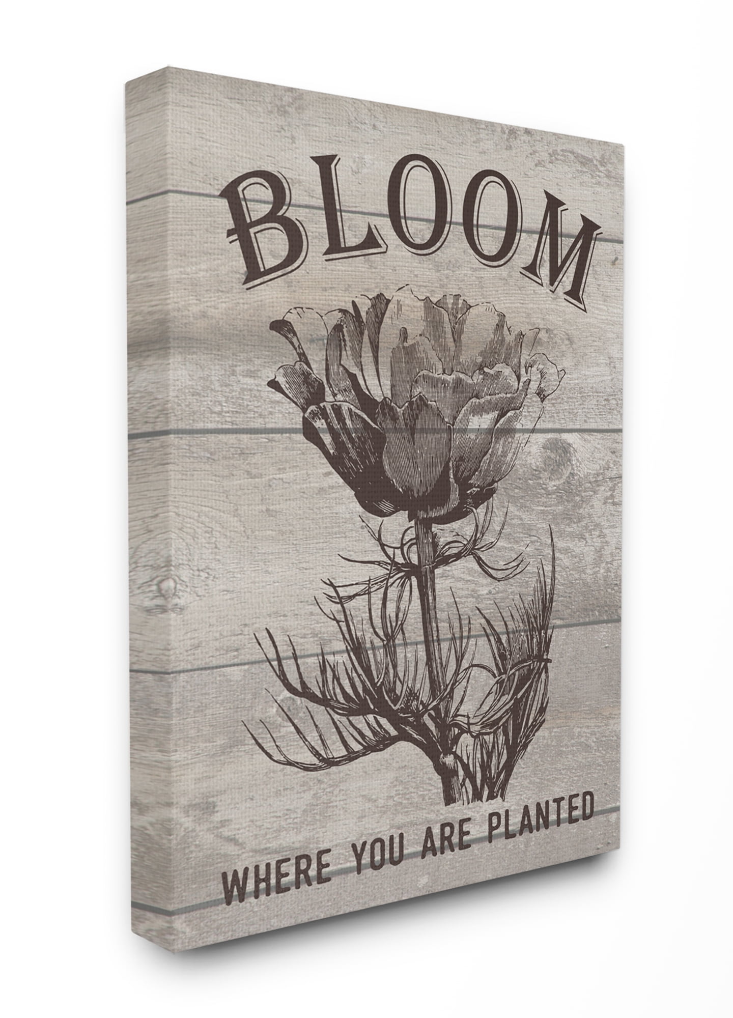 Stupell IndustriesBloom Where You're Planted Vintage Flower Line DrawingCanvas Wall Art by Lettered and Lined