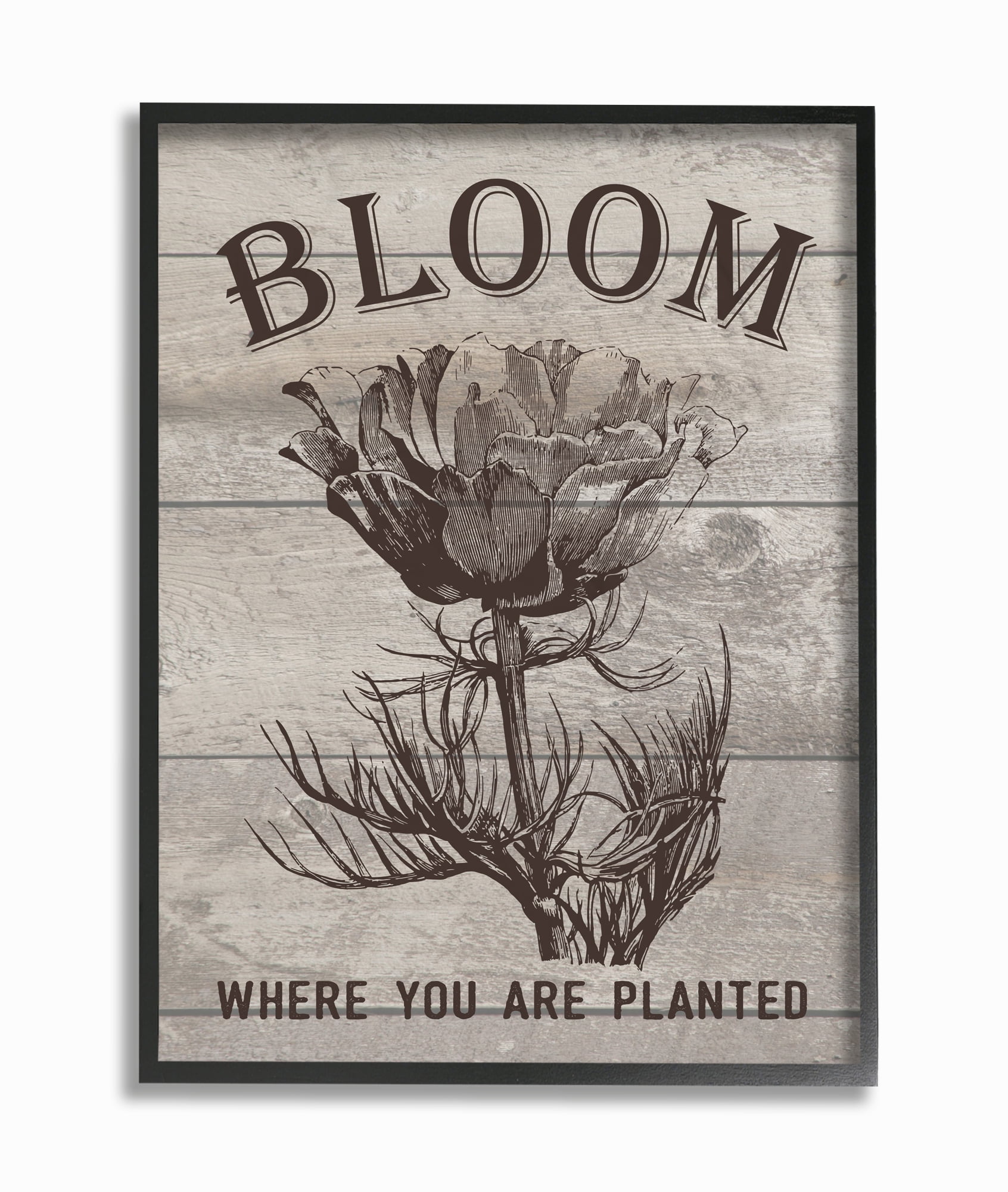 Stupell IndustriesBloom Where You're Planted Vintage Flower Line DrawingFramed Wall Art by Lettered and Lined