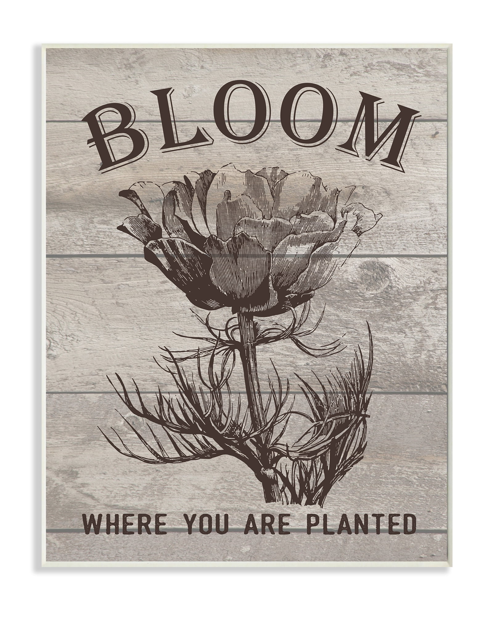 Stupell IndustriesBloom Where You're Planted Vintage Flower Line DrawingWall Plaqueby Lettered and Lined