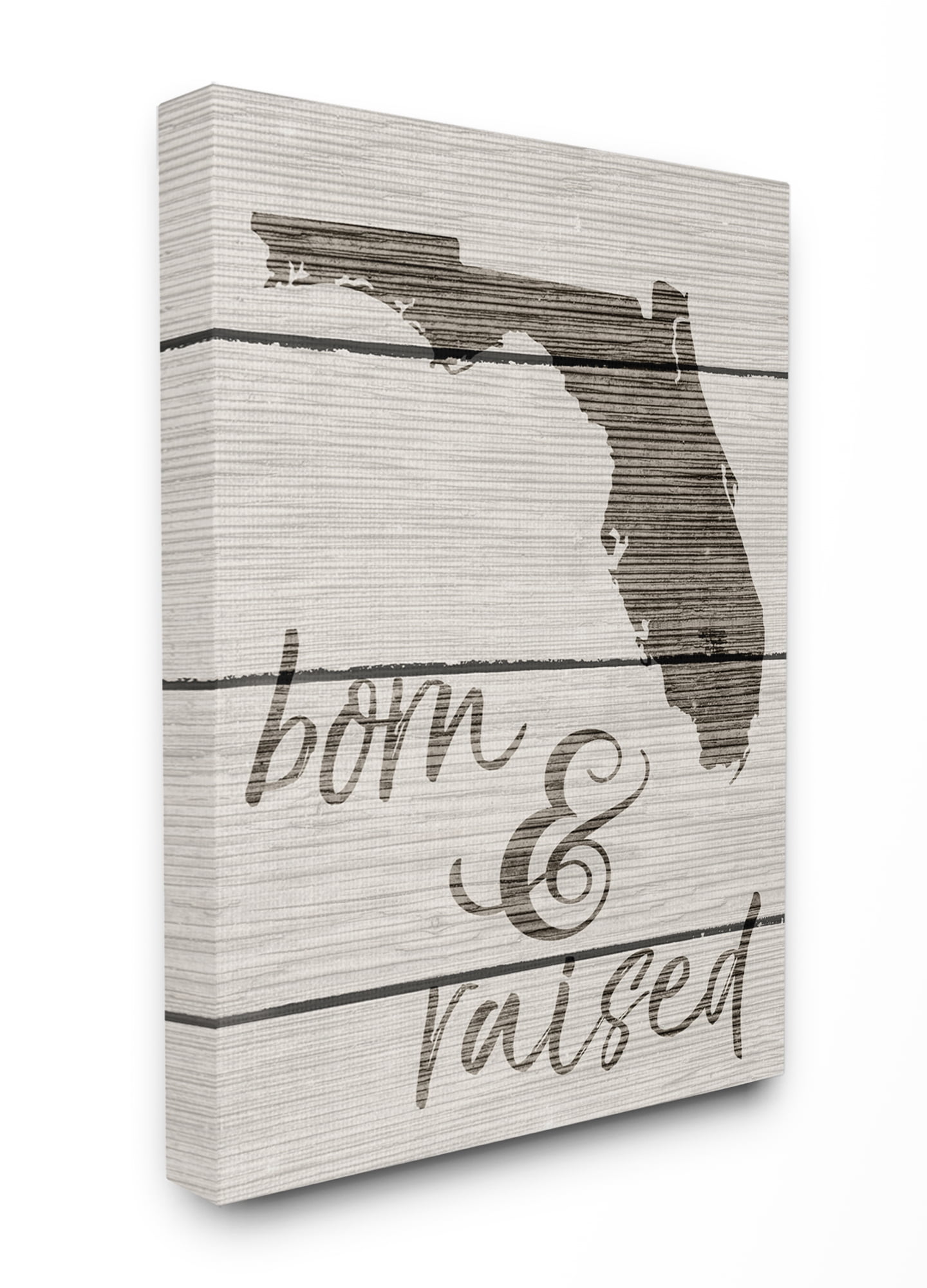 Stupell IndustriesBorn And Raised FloridaCanvas Wall Art by Daphne Polselli