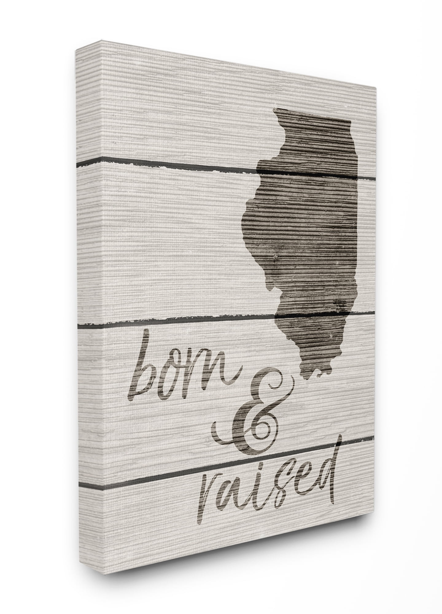Stupell IndustriesBorn And Raised IllinoisCanvas Wall Art by Daphne Polselli