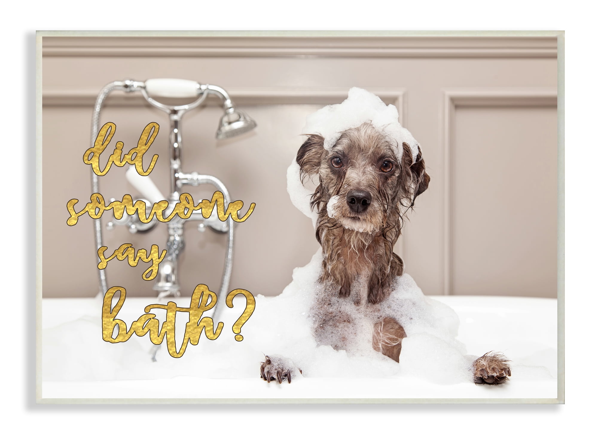Stupell IndustriesDid Someone Say Bath? Bubble Bath DogWall Plaqueby Daphne Poselli