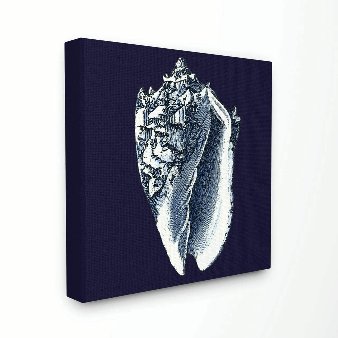 Stupell IndustriesDistressed Navy and White Conch ShellCanvas Wall Art by World Art Group