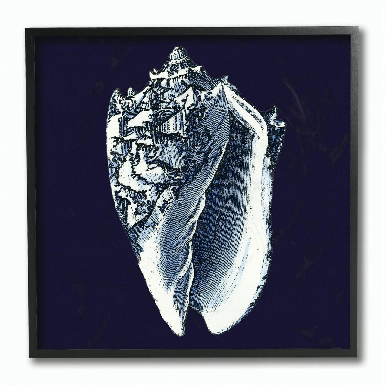 Navy and White Conch Shell Canvas Print with Black Frame