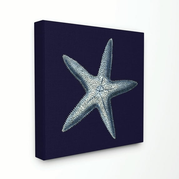 Stupell IndustriesDistressed Navy and White StarfishCanvas Wall Art by World Art Group