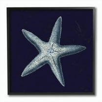 Stupell IndustriesDistressed Navy and White StarfishFramed Wall Art by World Art Group