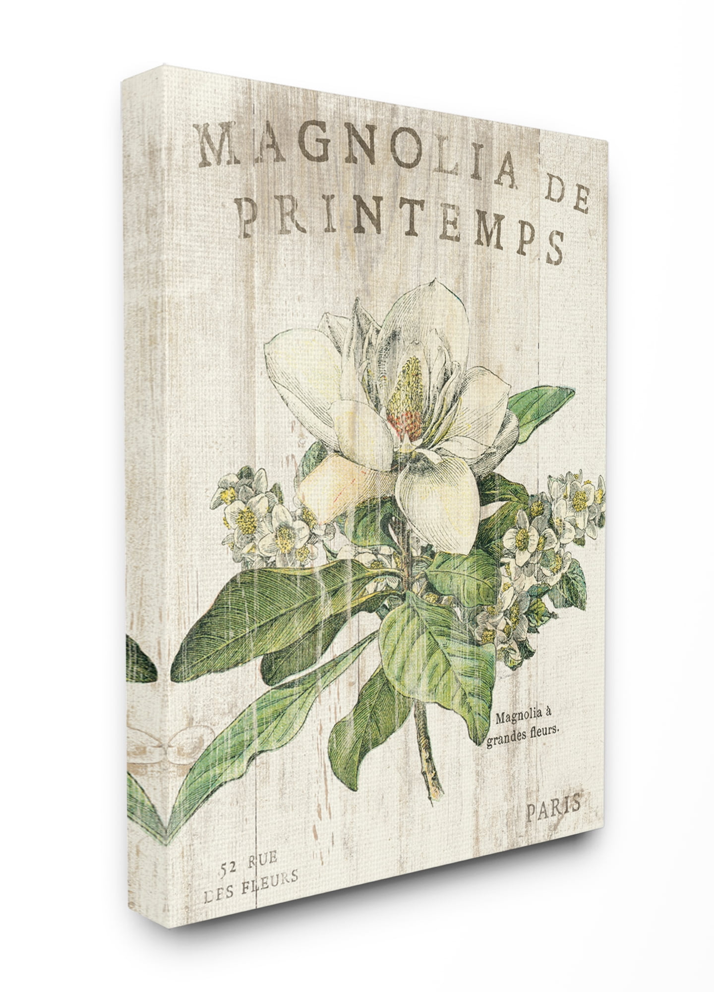 Stupell IndustriesFrench Magnolias In SpringCanvas Wall Art by Sue Schlabach