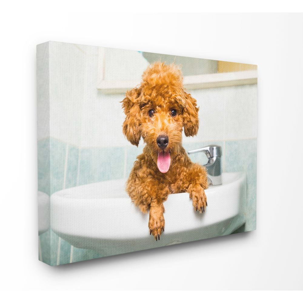 Stupell IndustriesGoldendoodle Puppy Sink PlaytimeCanvas Wall Art by In House Art