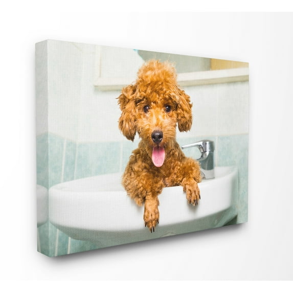 Stupell IndustriesGoldendoodle Puppy Sink PlaytimeCanvas Wall Art by In House Art