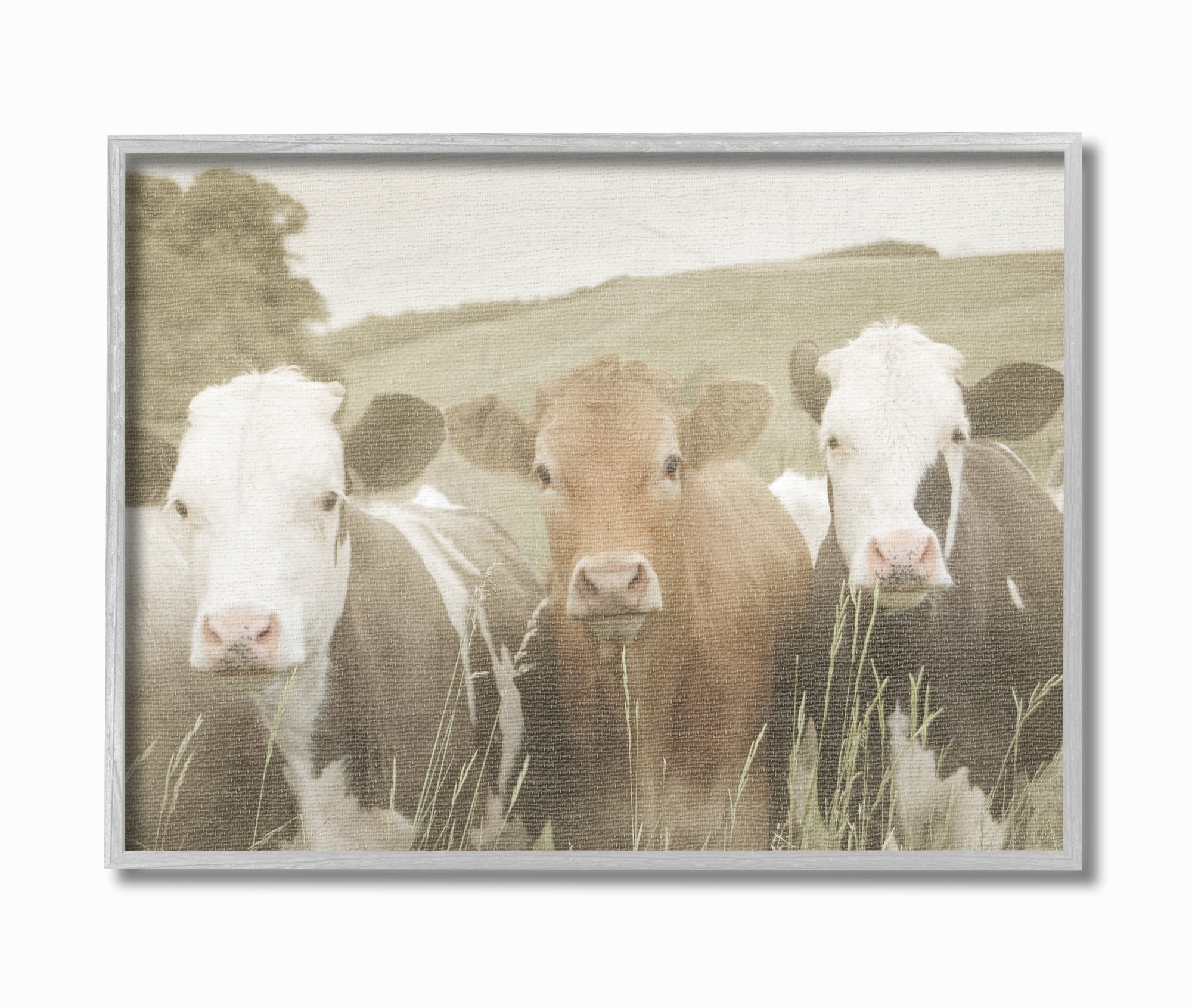 Stupell IndustriesHappy Neighbors Cows in the FieldFramed Wall Art by Daphne Polselli