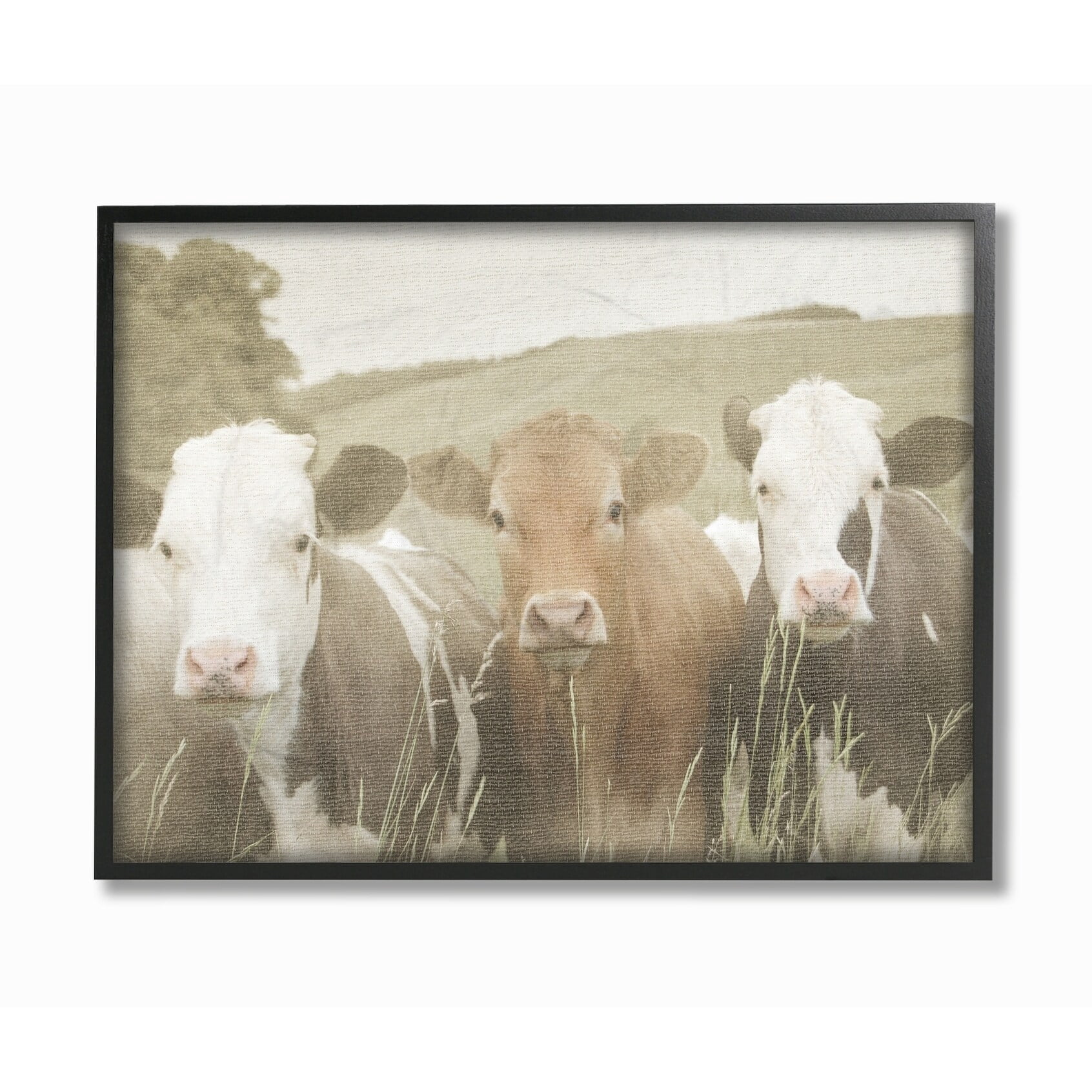 Stupell IndustriesHappy Neighbors Cows in the FieldFramed Wall Art by Daphne Polselli