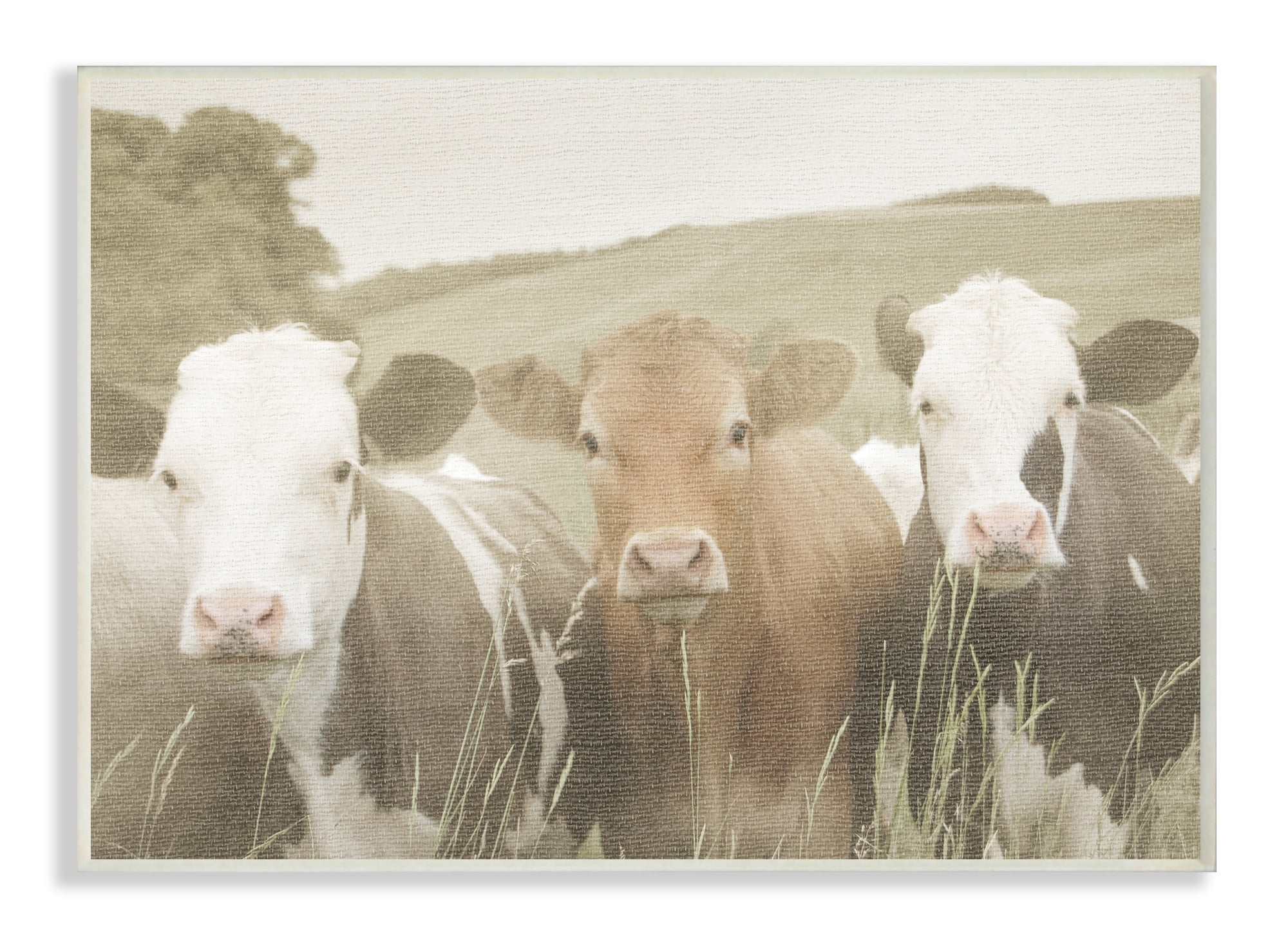 Stupell IndustriesHappy Neighbors Cows in the FieldWall Plaqueby Daphne Polselli
