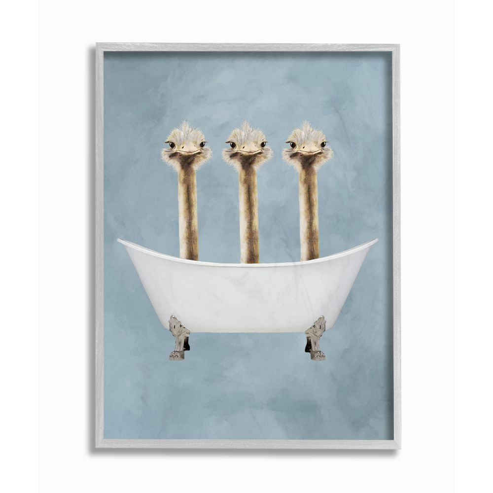 Three Ostriches in Bathtub Gray Framed Canvas Print, 11 x 14