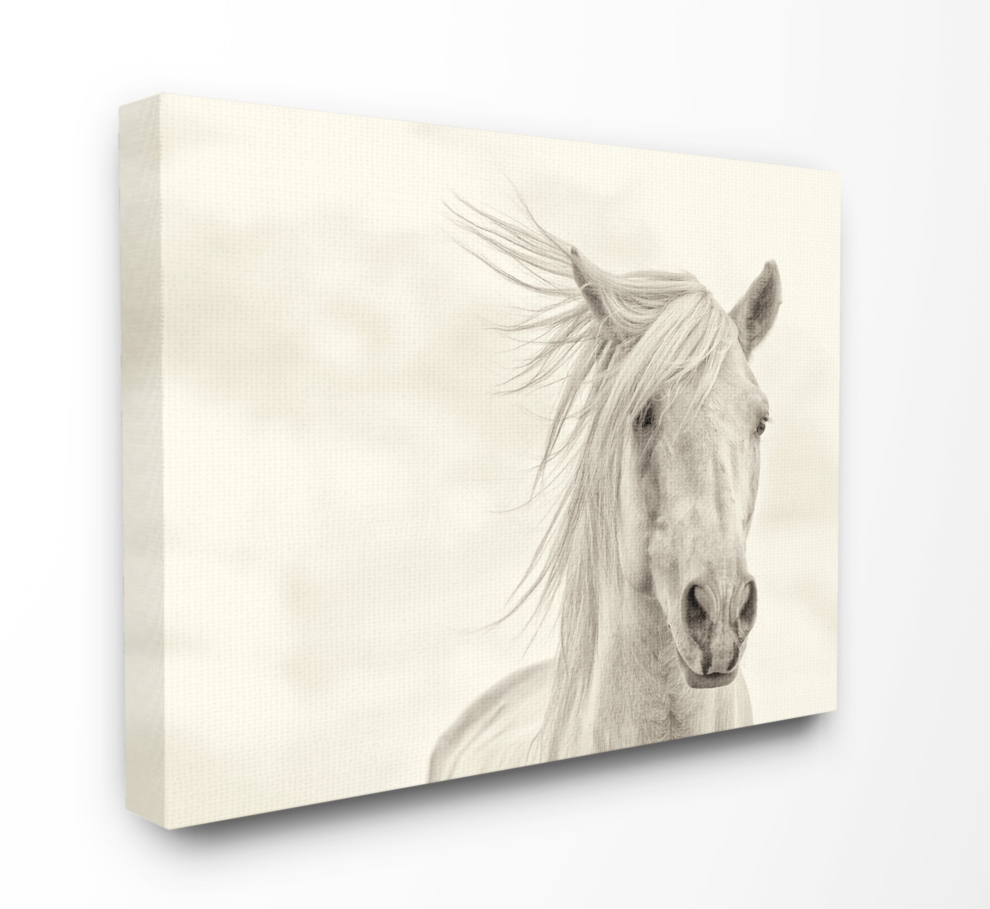 Stupell IndustriesWhite Horse Running in the WindCanvas Wall Art by PHBurchett