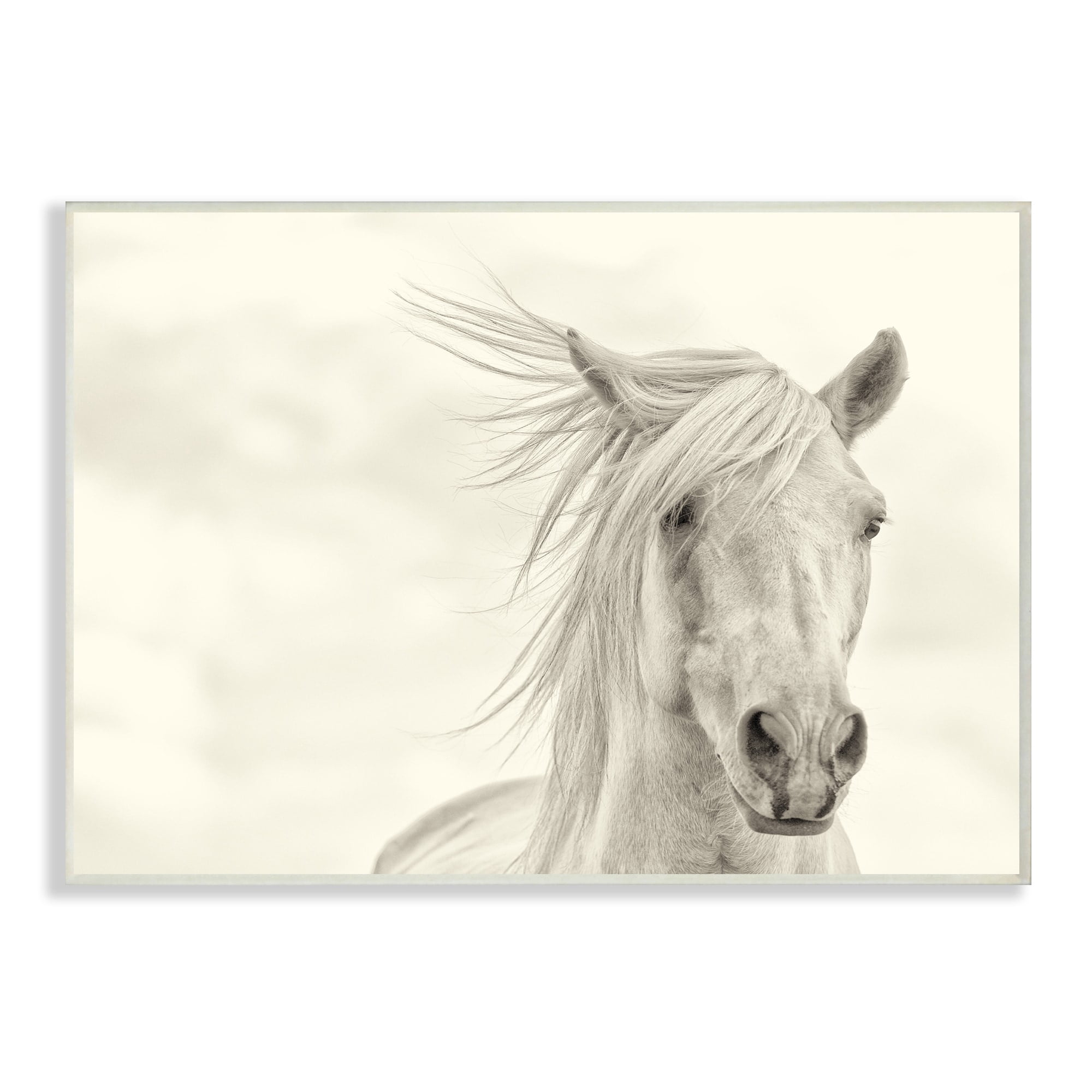 Stupell IndustriesWhite Horse Running in the WindWall Plaqueby PHBurchett