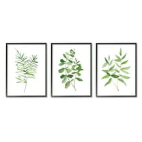 Stupell Kitchen Herb Bunches Botanicals Botanical & Floral Painting Black Framed Art Print Wall Art, Set of 3