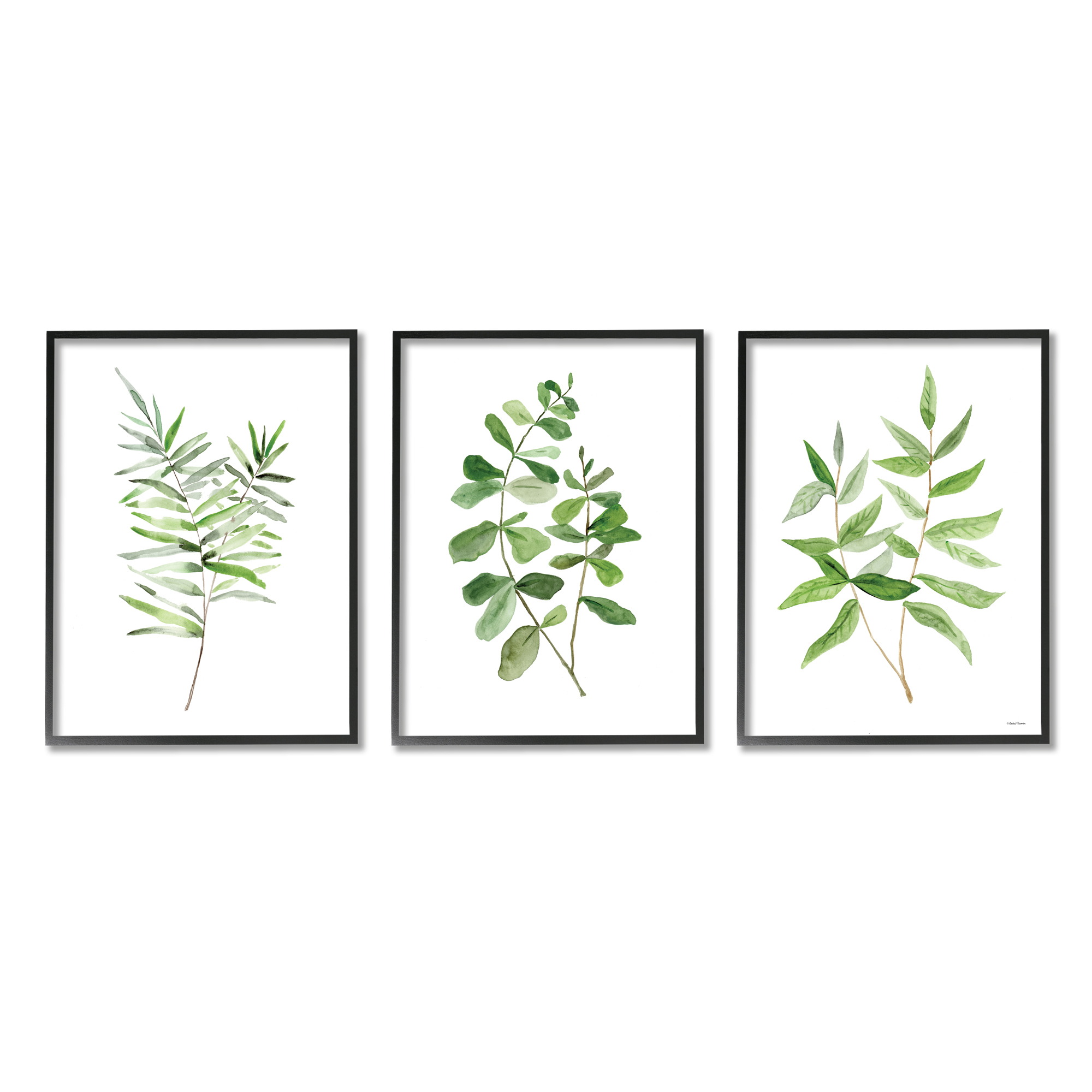 Stupell Kitchen Herb Bunches Botanicals Botanical & Floral Painting Black Framed Art Print Wall Art, Set of 3