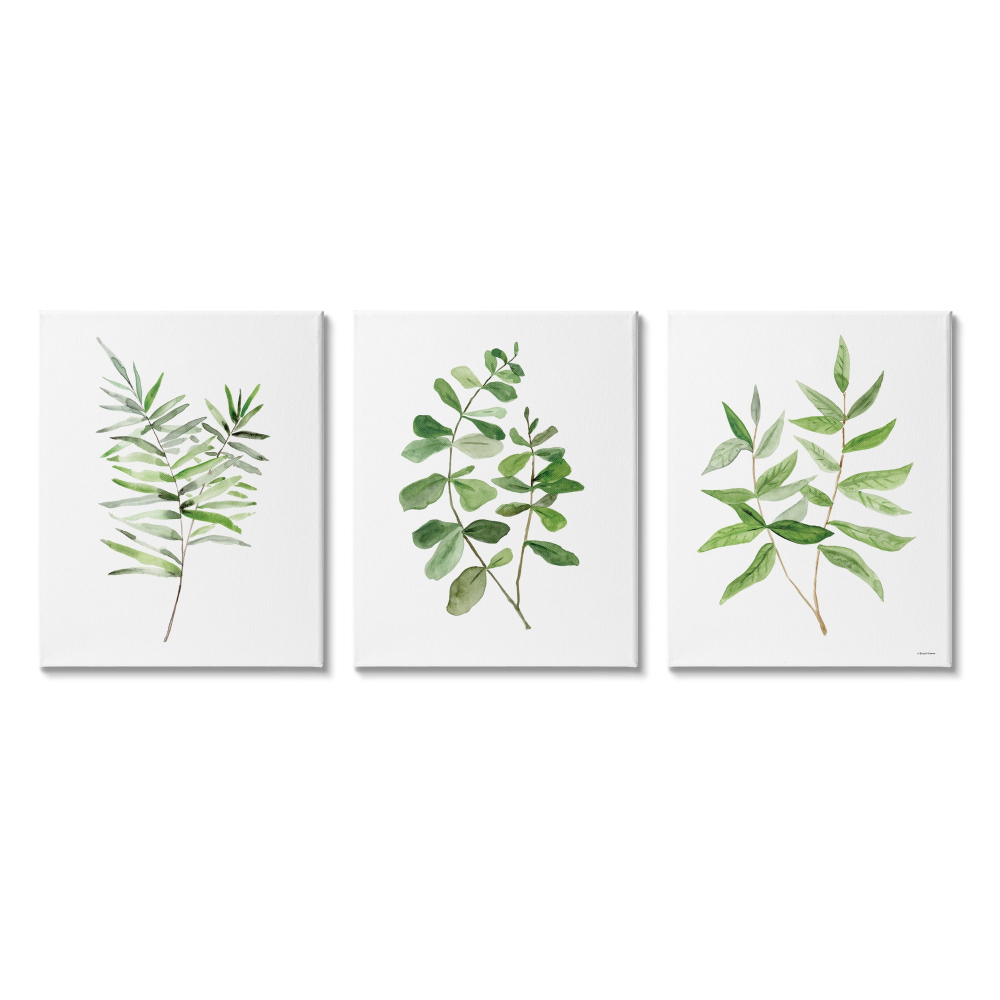 Stupell Kitchen Herb Bunches Botanicals Botanical & Floral Painting Gallery Wrapped Canvas Print Wall Art, Set of 3