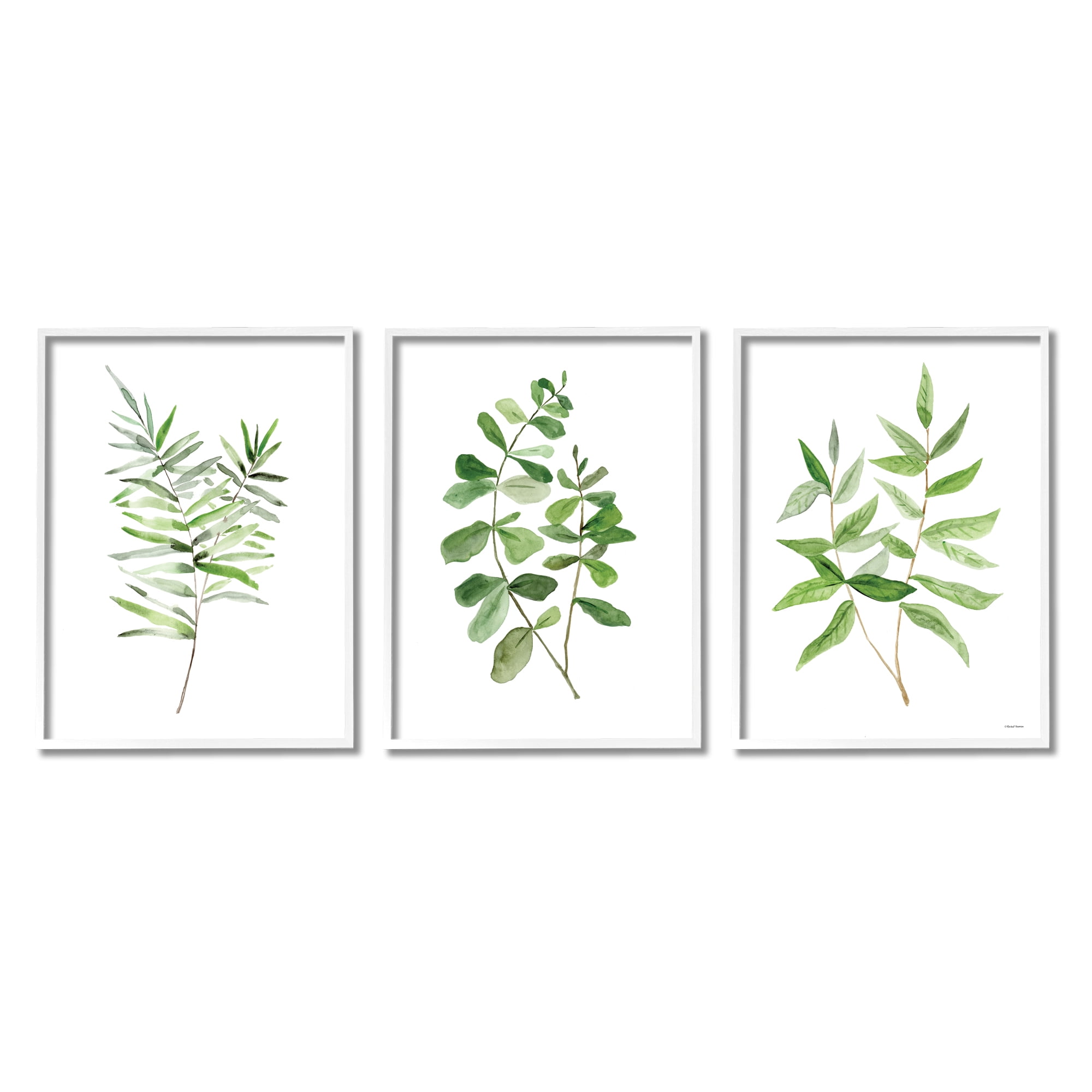 Stupell Kitchen Herb Bunches Botanicals Botanical & Floral Painting White Framed Art Print Wall Art, Set of 3