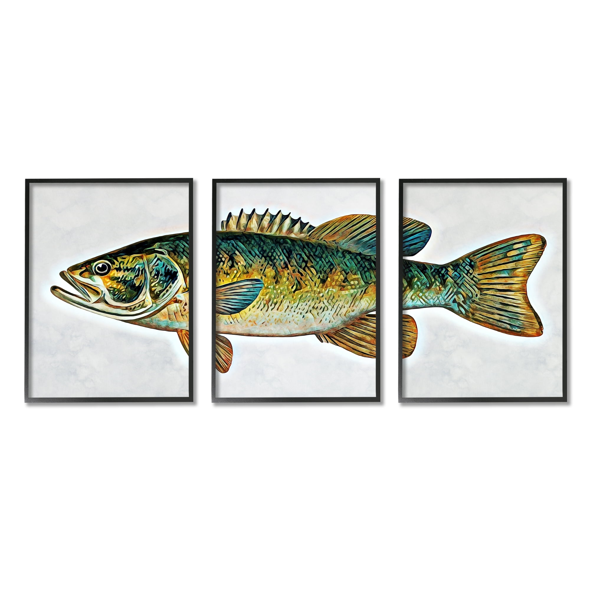 Stupell Lake House Bass Fish Wildlife Animals & Insects Painting Black Framed Art Print Wall Art, Set of 3