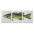 thumbnail image 1 of Stupell Lake House Bass Fish Wildlife Animals & Insects Painting Gallery Wrapped Canvas Print Wall Art, Set of 3, 1 of 7
