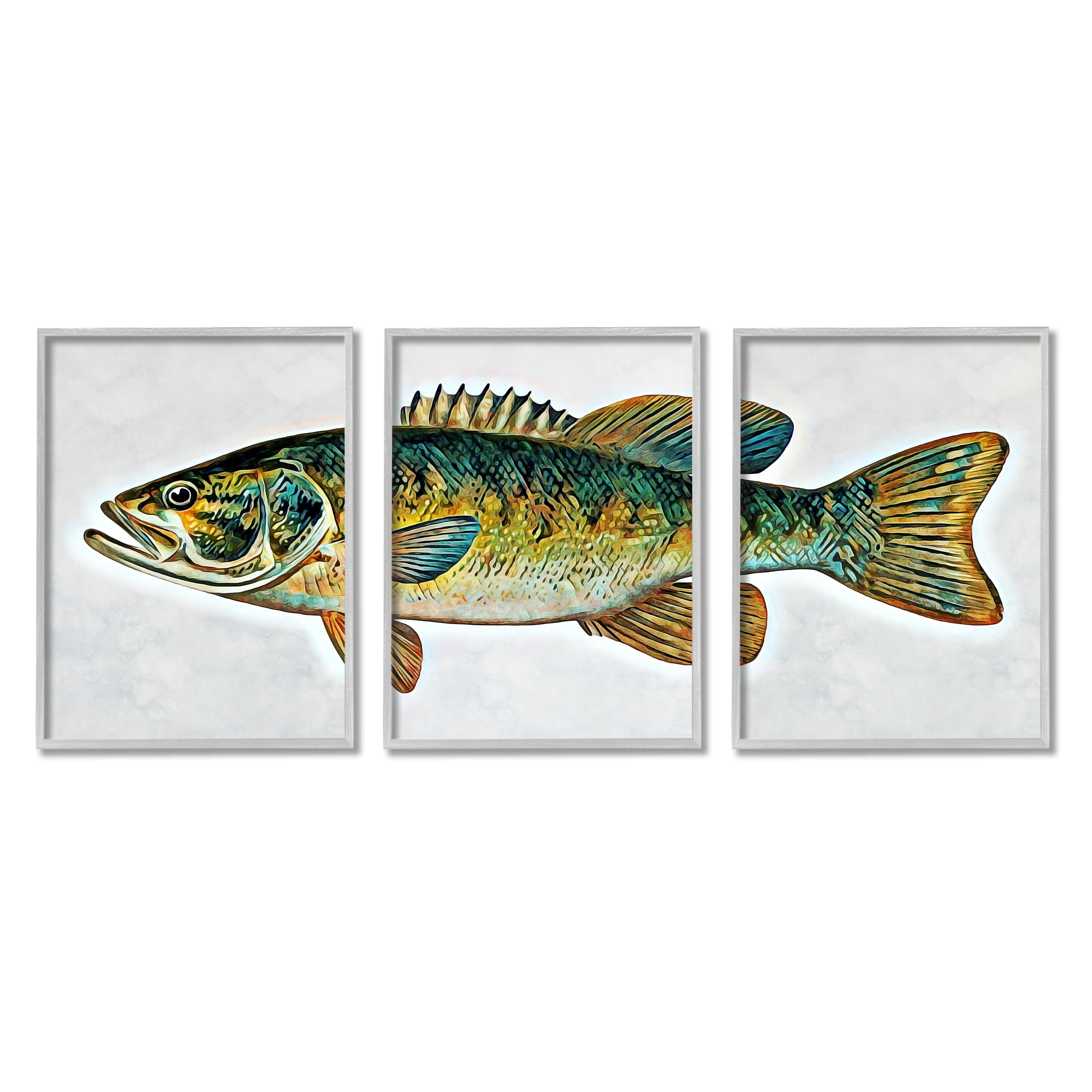 Stupell Lake House Bass Fish Wildlife Animals & Insects Painting Gray Framed Art Print Wall Art, Set of 3