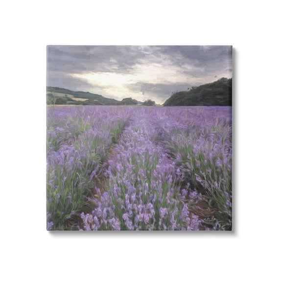 Stupell Lavender Fields Sunlit Clouds Botanical & Floral Photography Gallery Wrapped Canvas Print Wall Art