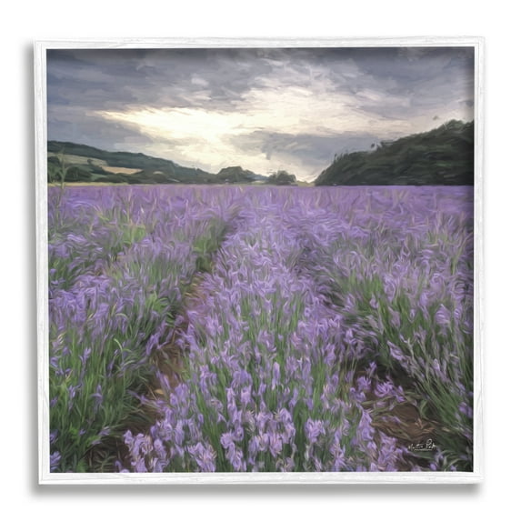 Stupell Lavender Fields Sunlit Clouds Botanical & Floral Photography White Framed Art Print Wall Art