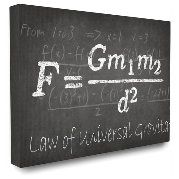 Stupell 'Law Of Universal Gravity' Stretched Canvas Wall Art 24 x 30