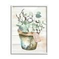 thumbnail image 1 of Stupell Live Simply Potted Eucalyptus Plant Botanical & Floral Painting White Framed Art Print Wall Art, 1 of 8
