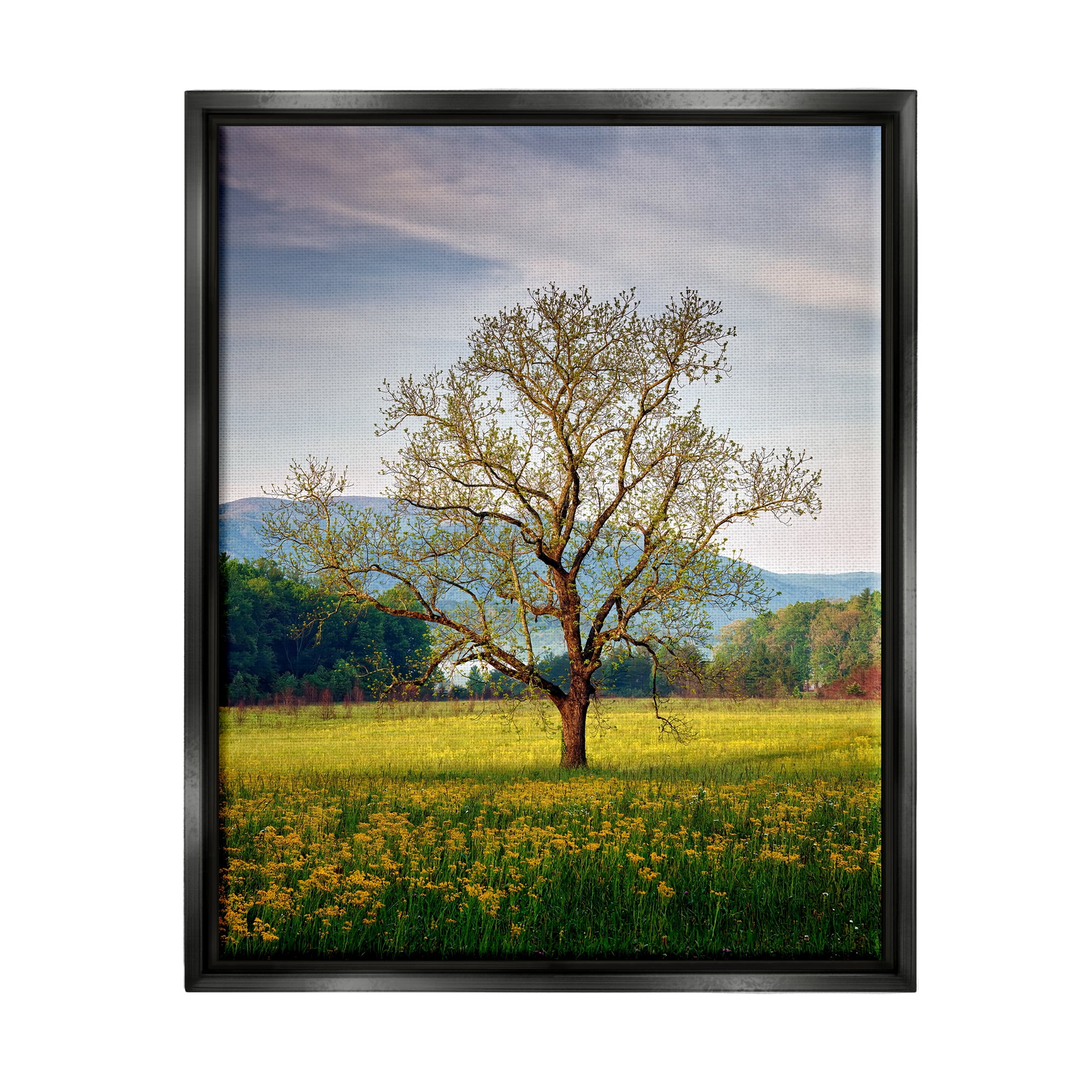 Stupell Lone Tree Wildflower Meadow Landscape Photography Black Floater Framed Art Print Wall Art