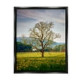 thumbnail image 1 of Stupell Lone Tree Wildflower Meadow Landscape Photography Black Floater Framed Art Print Wall Art, 1 of 6