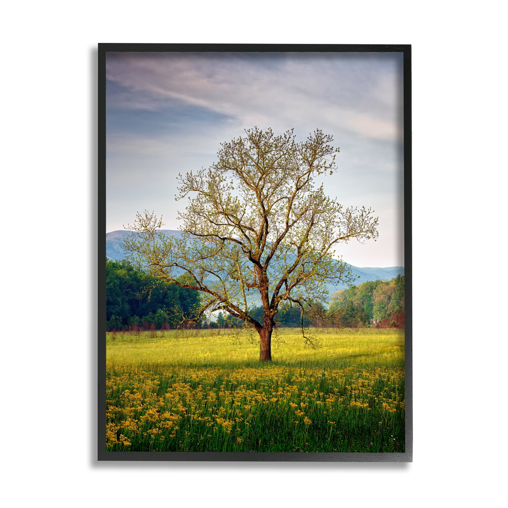 Stupell Lone Tree Wildflower Meadow Landscape Photography Black Framed Art Print Wall Art